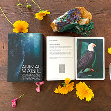 Animal Magic Oracle Cards by Esther Sanchez. One Card Spread