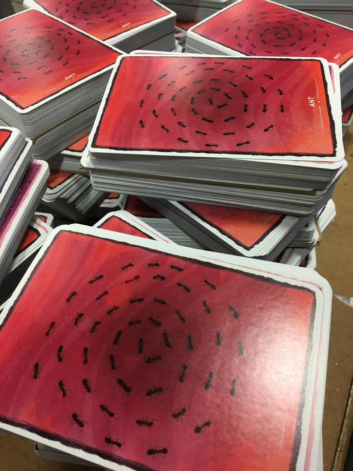 The cards are printed! The cards are printed!