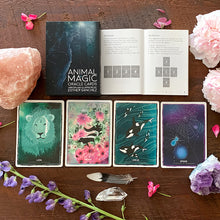 Animal Magic Oracle Cards by Esther Sanchez. Four Card Spread